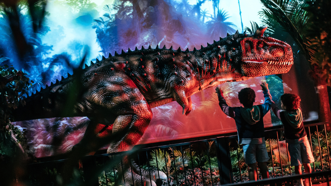 W5 Dino Header 1100x620 Blog