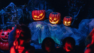 1100x620 Halloween 5