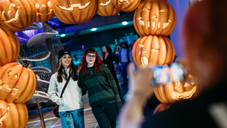 1100x625 Halloween 2